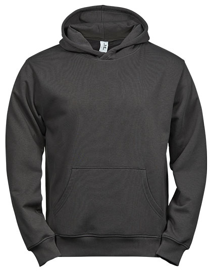 Classic Kid's Sweatshirt  Tee Jays Junior Power Hoodie Dark Grey (Solid)