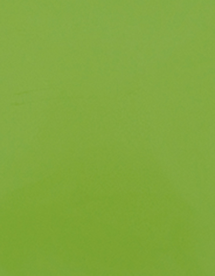 Stahls | CAD-CUT® Premium Plus - apple green 421 (cca pantone 368c), 1 m