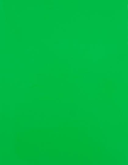 Stahls | CAD-CUT® Premium Plus - neon green 401, 1 m