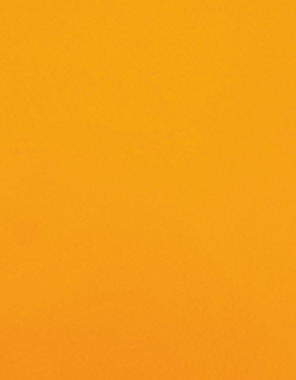 Stahls | CAD-CUT® Premium Plus - neon orange 181, 1 m