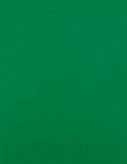 Stahls | CAD-CUT® Premium Plus - green 400 (cca pantone 7727c), 1 m