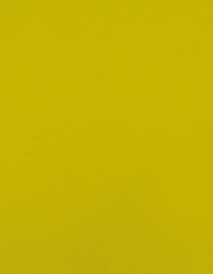 Stahls | CAD-CUT® Premium Plus - lemon 100 (cca pantone 7405c), 1 m