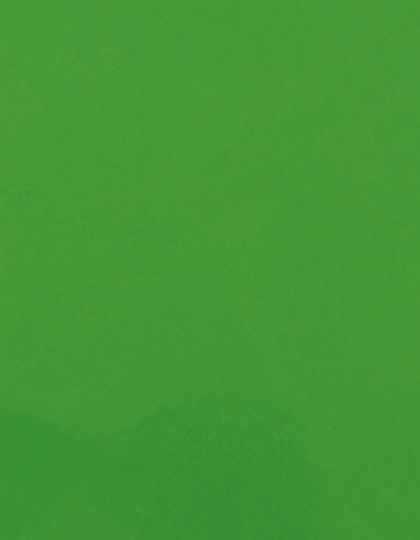 Stahls | CAD-CUT® Premium Plus - light green 422 (cca pantone 362c), 1 m