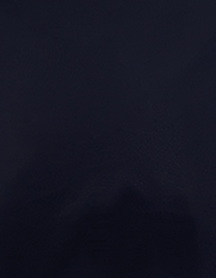 Stahls | CAD-CUT® Premium Plus - navy 350 (cca pantone 532c), 1 m