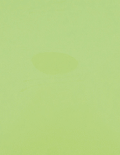 Stahls | CAD-CUT® Premium Plus - pastel green 420 (cca pantone 358c), 1 m