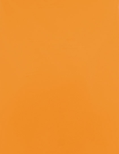 Stahls | CAD-CUT® Premium Plus - light orange 185 (cca pantone 1495c), 1 m