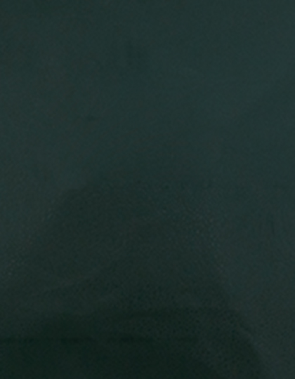 Stahls | CAD-CUT® Premium Plus - dark green 410 (cca pantone 560c), 1 m