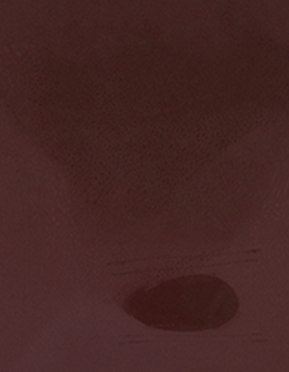 Stahls | CAD-CUT® Premium Plus - brown 550 (cca pantone 7616c), 1 m