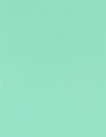 Stahls | CAD-CUT® Premium Plus - pastel mint 370 (cca pantone 317c), 1 m