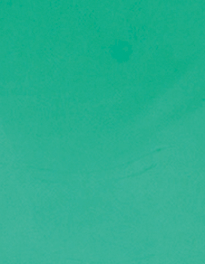 Stahls | CAD-CUT® Premium Plus - mint 419 (cca pantone 339c), 1 m