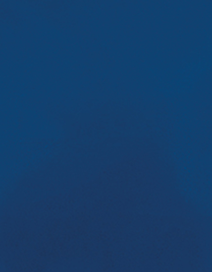 Stahls | CAD-CUT® Premium Plus - columbia 330 (cca pantone 4150c), 1 m