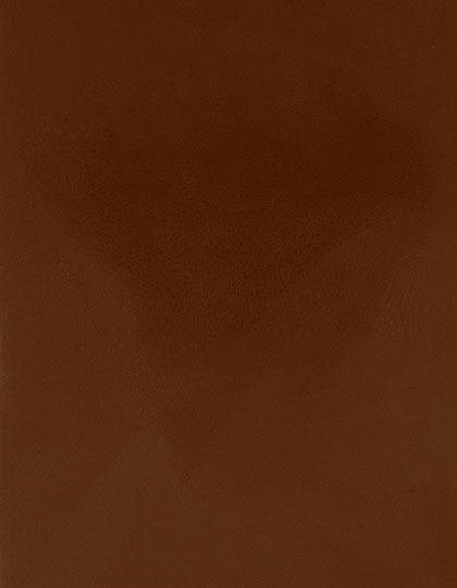 Stahls | CAD-CUT® Premium Plus - medium brown 555 (cca pantone 2472c), 1 m