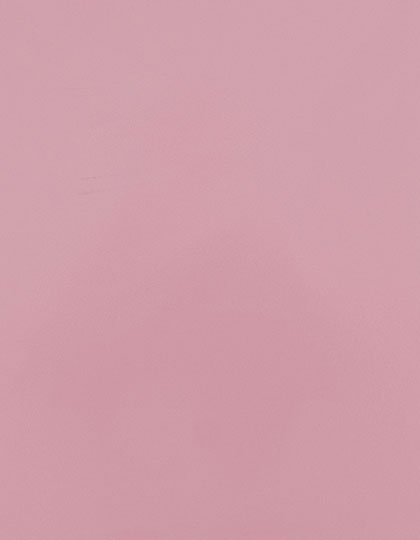 Stahls | CAD-CUT® Premium Plus - rose pink 256 (cca pantone 694 c), 1 m
