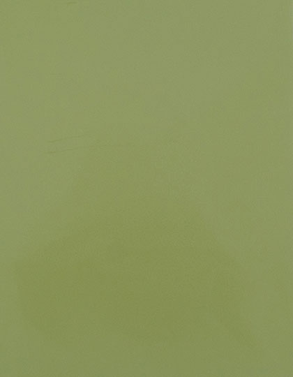 Stahls | CAD-CUT® Premium Plus - pistachio green 425 (cca pantone 5777 c), 1 m